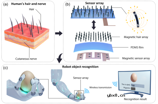 用于机器人物体识别和滑动检测的磁敏触觉传感器