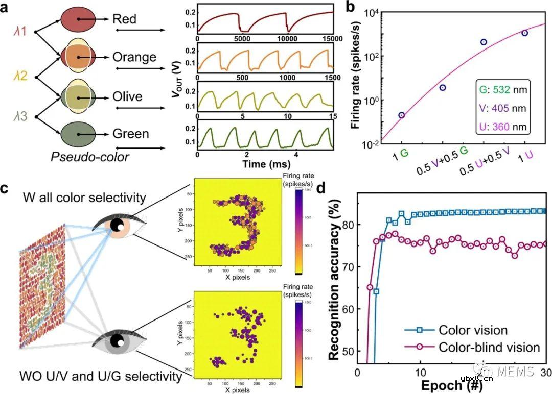 用于颜色感知的超低功耗垂直集成的尖峰视锥感受器阵列