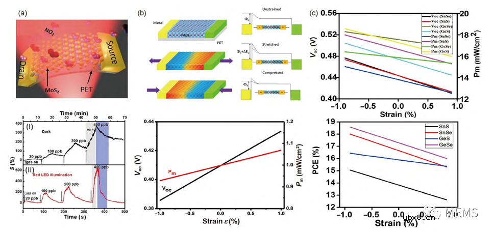 基于二维材料的压电光电子学器件综述