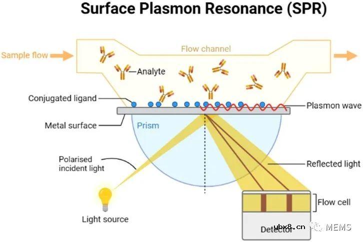 用于癌症诊断的仿生传感器技术研究进展