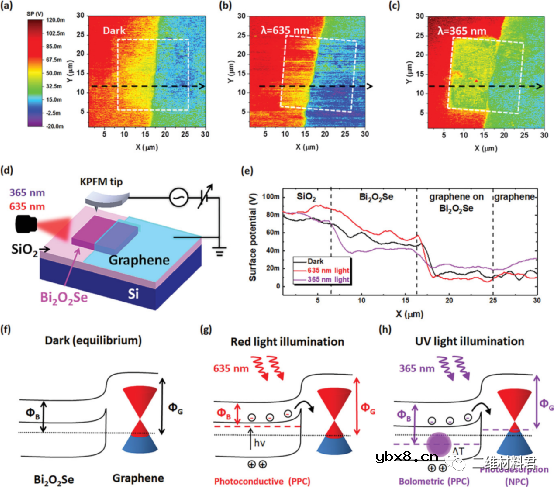 2D Bi2O2Se-石墨烯混合结构实现双向全光突触助力多功能光电子学