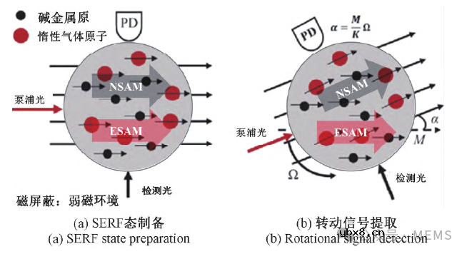 基于原子体系的量子惯性传感器研究现状综述
