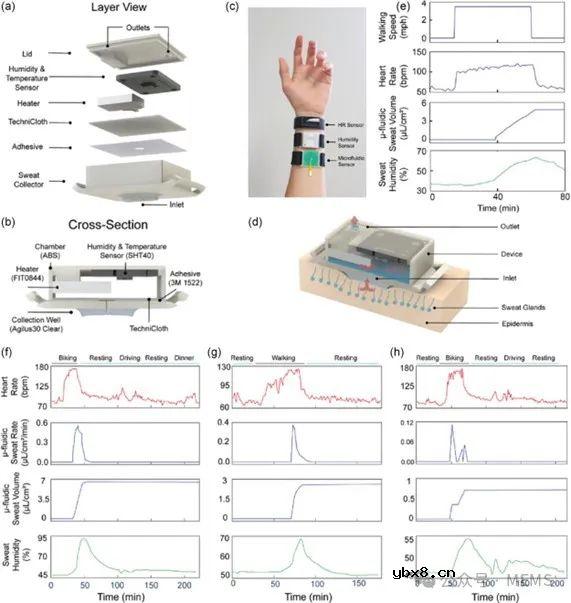 用于生理状况和活动监测的可穿戴传感器综述