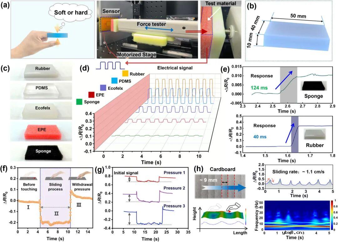 吉林大学，辽宁材料实验室：具有交叉梯度结构的仿生柔性压阻传感器，可实现高性能触觉感应