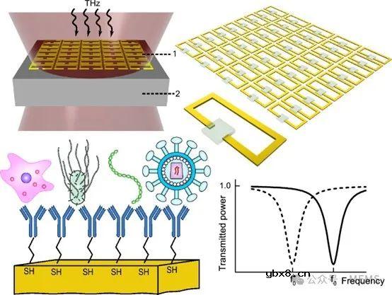 基于超强耦合超构原子的CMOS集成太赫兹近场传感器设计