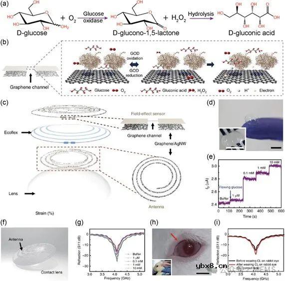 用于生理状况和活动监测的可穿戴传感器综述