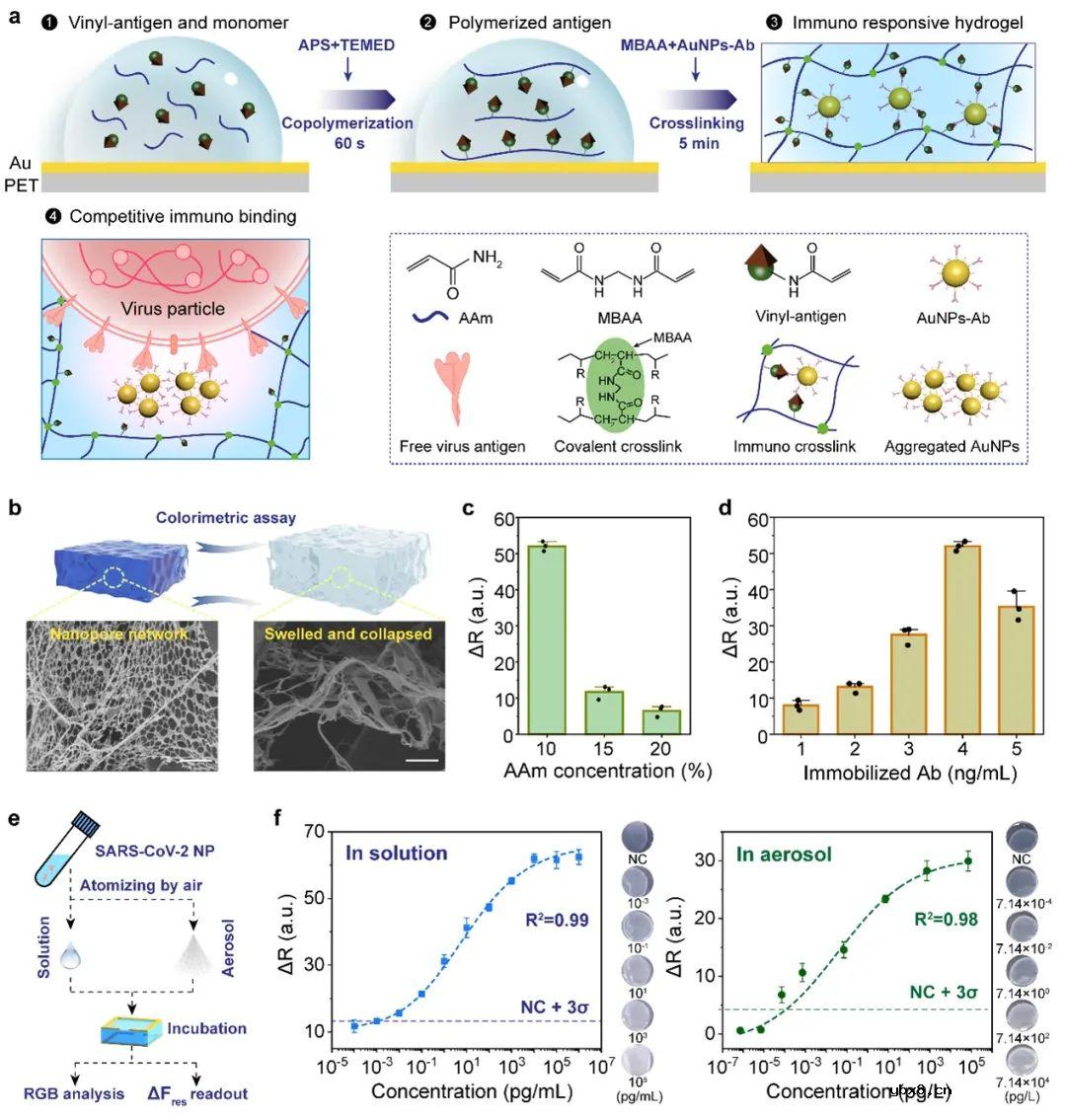 基于免疫应答水凝胶的调制谐振传感器,用于呼吸道病毒的快速检测 基于免疫应答水凝胶的调制谐振传感器,用于呼吸道病毒的快速检测
