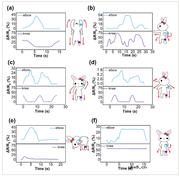 3D石墨烯泡沫与水凝胶集成,打造本质可拉伸运动传感器