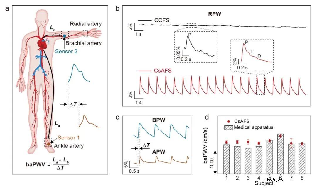 高性能纤维应变传感器，实现可穿戴设备的柔性化、舒适化、便携化