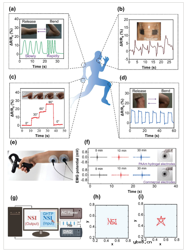 3D石墨烯泡沫与水凝胶集成,打造本质可拉伸运动传感器