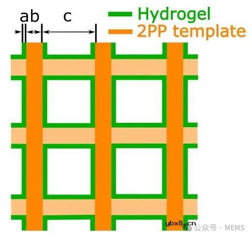 水凝胶薄膜+3D打印光子晶体，实现基于结构色的湿度传感器