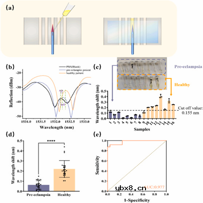 集成微流控芯片的μFBG生物传感器,用于子痫前期的即时诊断 集成微流控芯片的μFBG生物传感器,用于子痫前期的即时诊断
