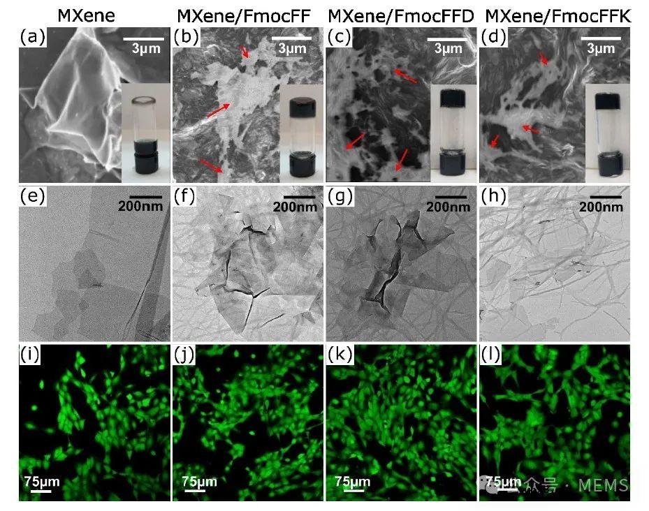 基于新型复合水凝胶的压阻式压力传感器,可用于各种生物医学应用 基于新型复合水凝胶的压阻式压力传感器,可用于各种生物医学应用