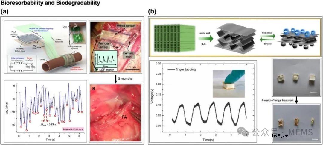 面向穿戴式和植入式应用的软体机械传感器综述