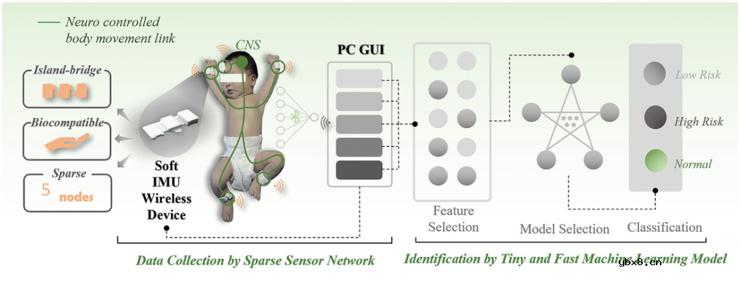 一种柔性稀疏传感器网络系统，用于新生儿不安运动评估