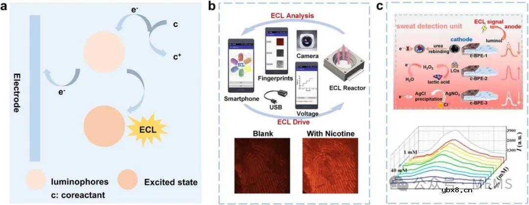 表皮可穿戴光学传感器在汗液监测领域的研究进展综述 表皮可穿戴光学传感器在汗液监测领域的研究进展综述