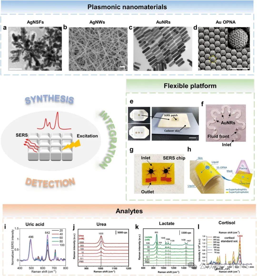 表皮可穿戴光学传感器在汗液监测领域的研究进展综述 表皮可穿戴光学传感器在汗液监测领域的研究进展综述