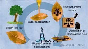 利用二氧化碳激光器在叶片上打印电化学传感器 利用二氧化碳激光器在叶片上打印电化学传感器