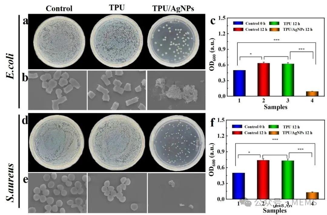 基于“双介质层+一体化电极”的电容式压力传感器设计