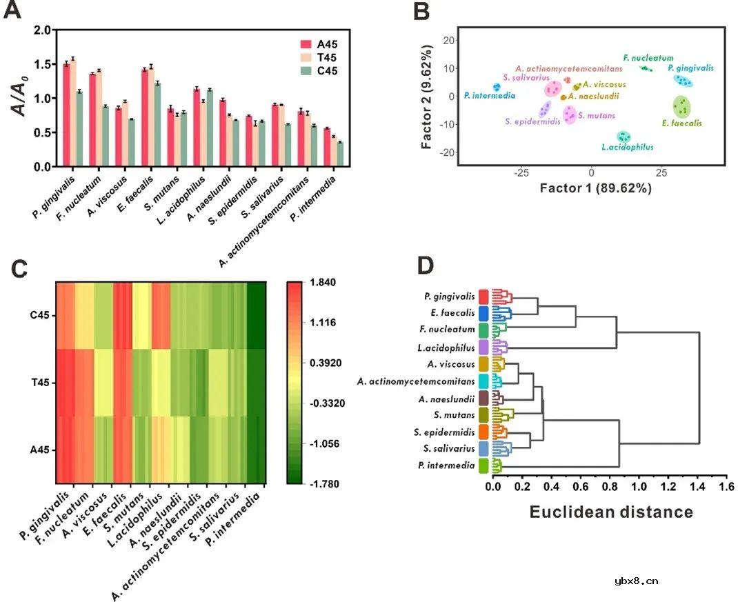 基于DNA编码纳米酶传感器阵列的电子舌，用于口腔细菌的识别与清除