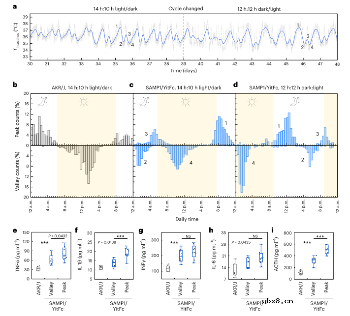 用于长期监测慢性肠道炎症的微型植入式温度传感器