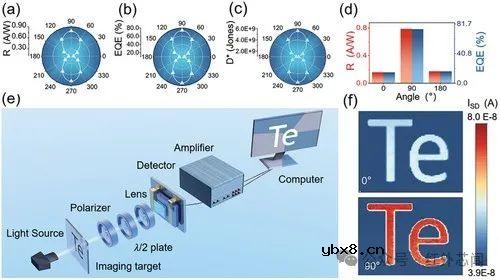 一种利用垂直异质结实现高性能且偏振敏感的成像传感器