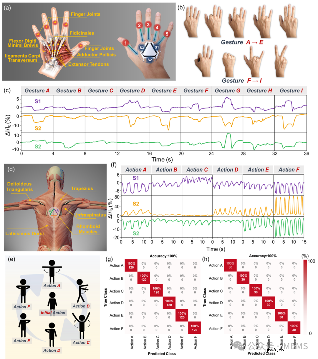 利用应变传感器阵列实现复杂的人体运动捕捉 利用应变传感器阵列实现复杂的人体运动捕捉