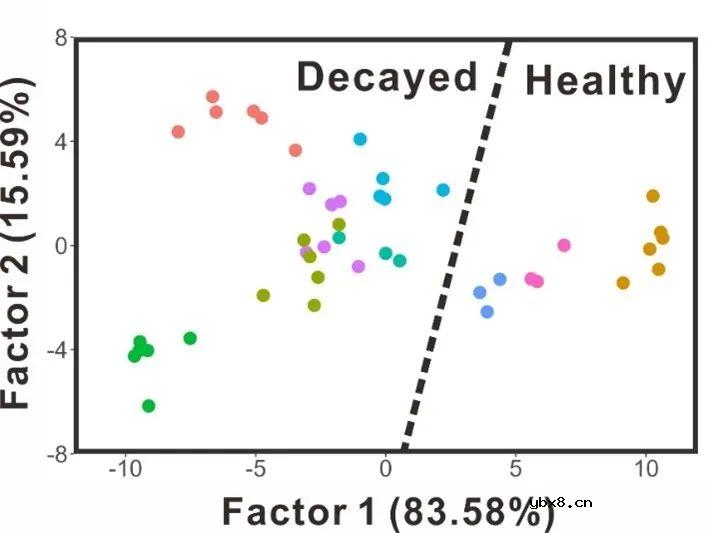 基于DNA编码纳米酶传感器阵列的电子舌，用于口腔细菌的识别与清除