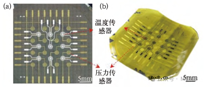 柔性PZT复合薄膜压力传感器的研究进展综述