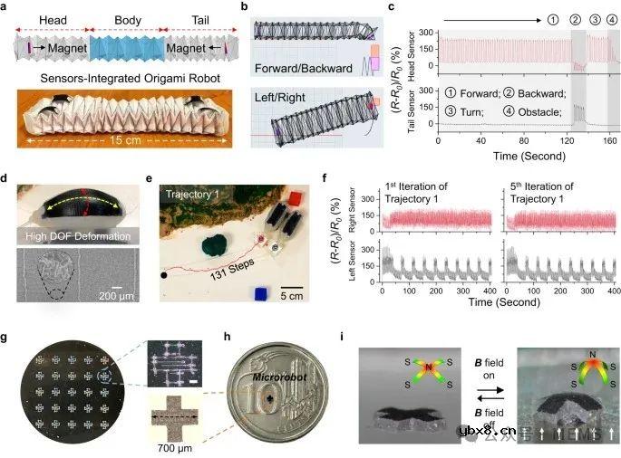 基于计算设计的超鲁棒性应变传感器，实现软体机器人的感知和自主性