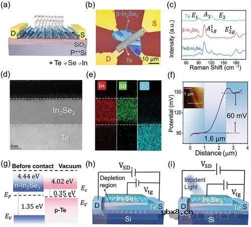 一种利用垂直异质结实现高性能且偏振敏感的成像传感器