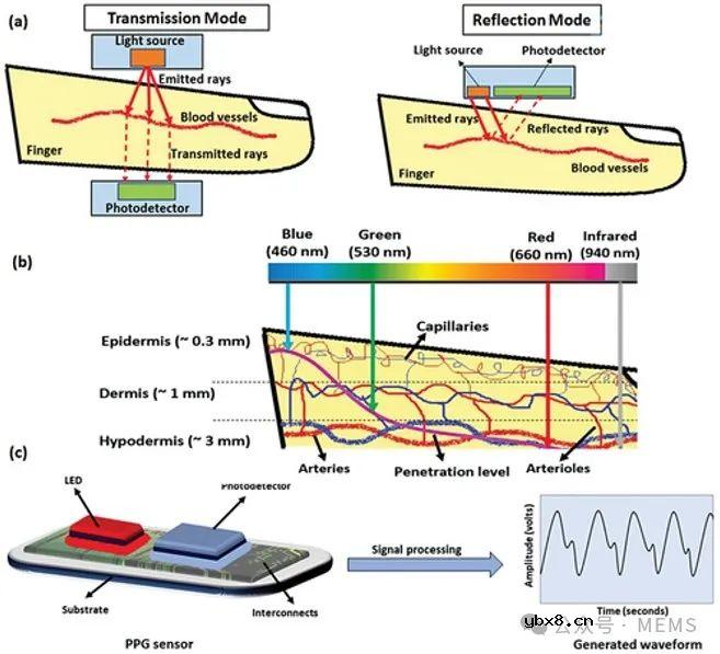 可穿戴PPG传感器中先进材料的制备、性能及应用综述 可穿戴PPG传感器中先进材料的制备、性能及应用综述