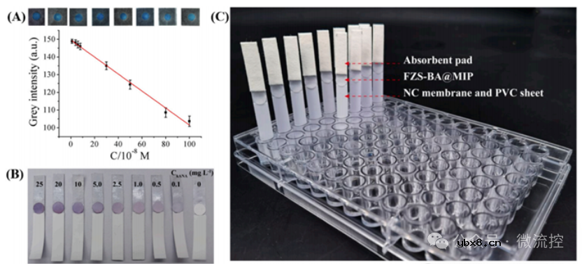 基于分子印迹技术的传感器研究与应用进展综述