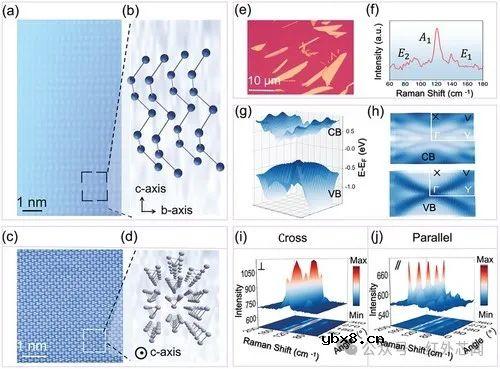 一种利用垂直异质结实现高性能且偏振敏感的成像传感器