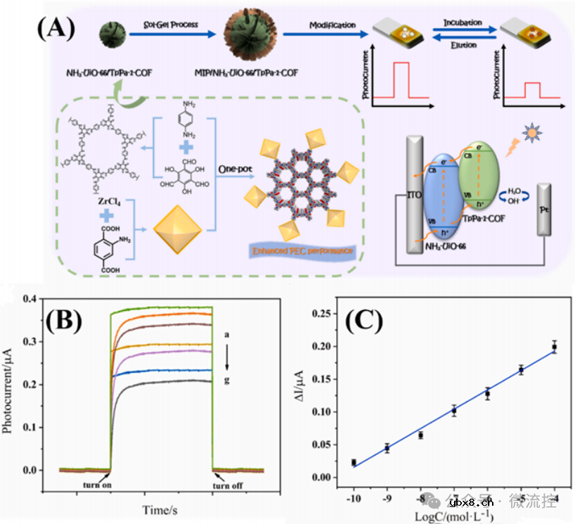 基于分子印迹技术的传感器研究与应用进展综述
