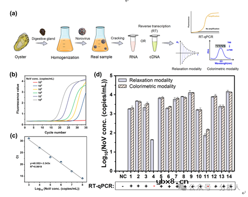 基于Mn顺磁弛豫和纳米催化的多信号生物传感器开发 基于Mn顺磁弛豫和纳米催化的多信号生物传感器开发