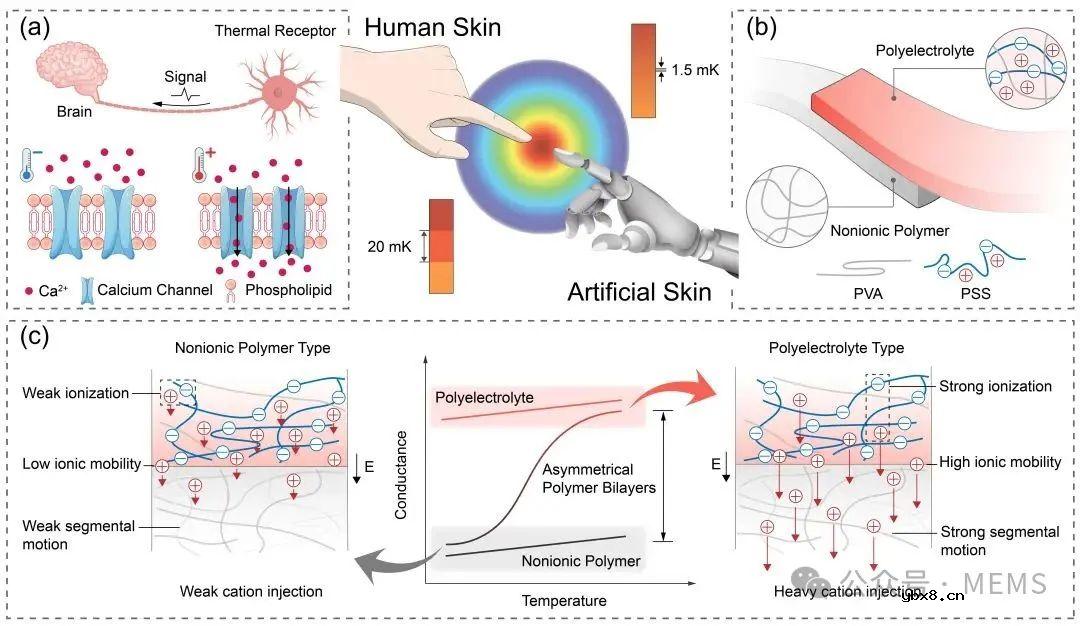 基于人体皮肤热感知原理的超高灵敏度柔性温度传感器开发