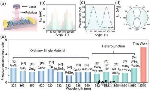 一种利用垂直异质结实现高性能且偏振敏感的成像传感器