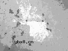 金属材料品质认证和鉴定