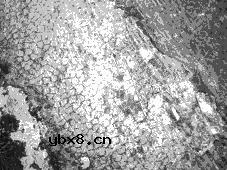 金属材料品质认证和鉴定