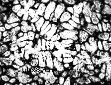 金属材料品质认证和鉴定