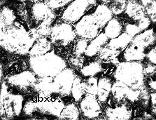 金属材料品质认证和鉴定