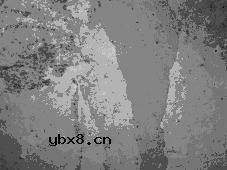 金属材料品质认证和鉴定