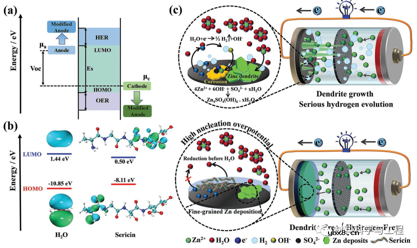 同时控制锌形核热力学与析氢过电位实现稳定界面 同时控制锌形核热力学与析氢过电位实现稳定界面