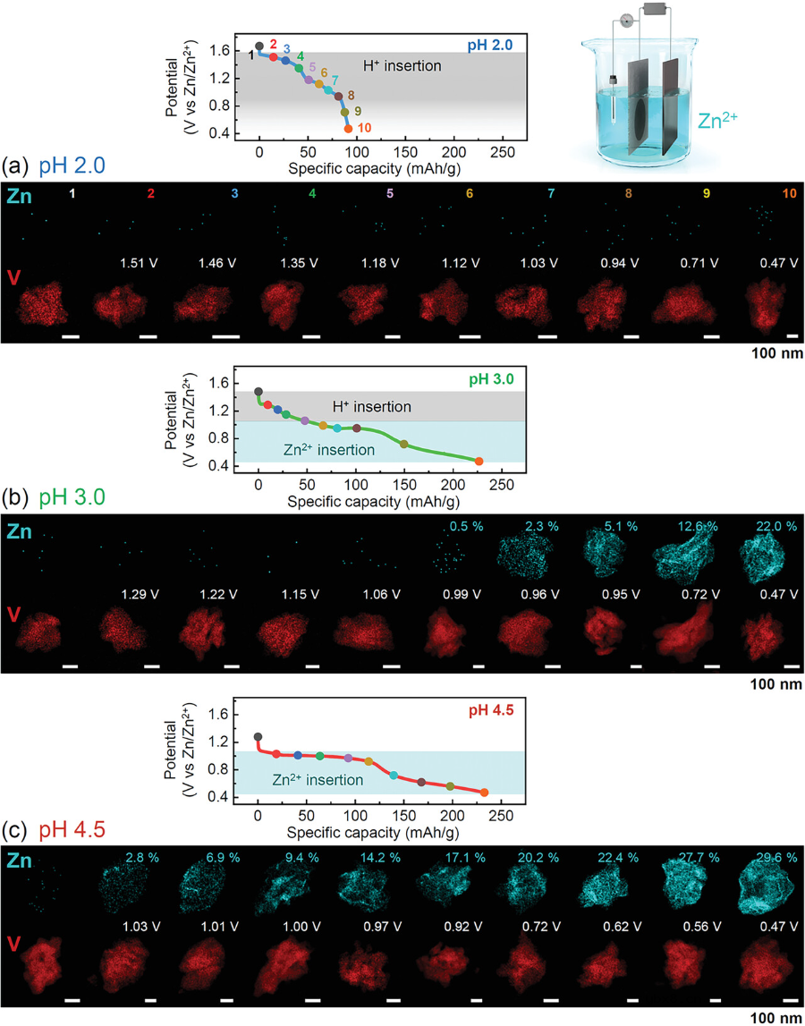 金属离子与质子:跟踪插入到水系电池阴极氧化物的电荷载流子