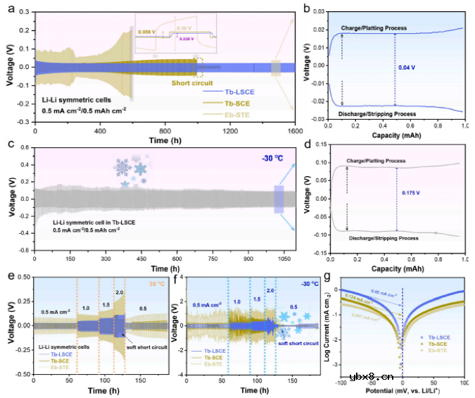 新型四氢呋喃局部饱和电解液激活超低温锂金属电池 新型四氢呋喃局部饱和电解液激活超低温锂金属电池