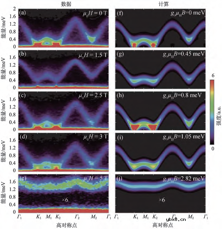 浅析非弹性中子散射谱仪的物理应用
