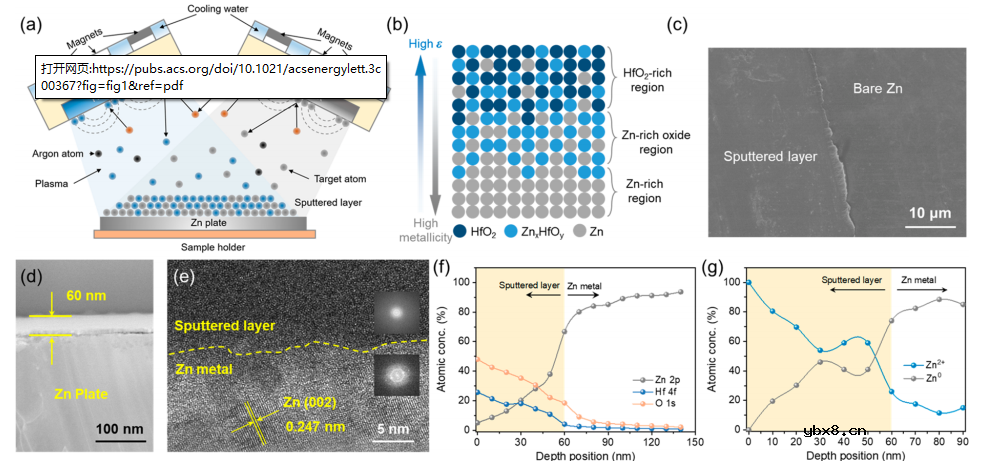 锌金属负极的介质—金属双梯度组合设计