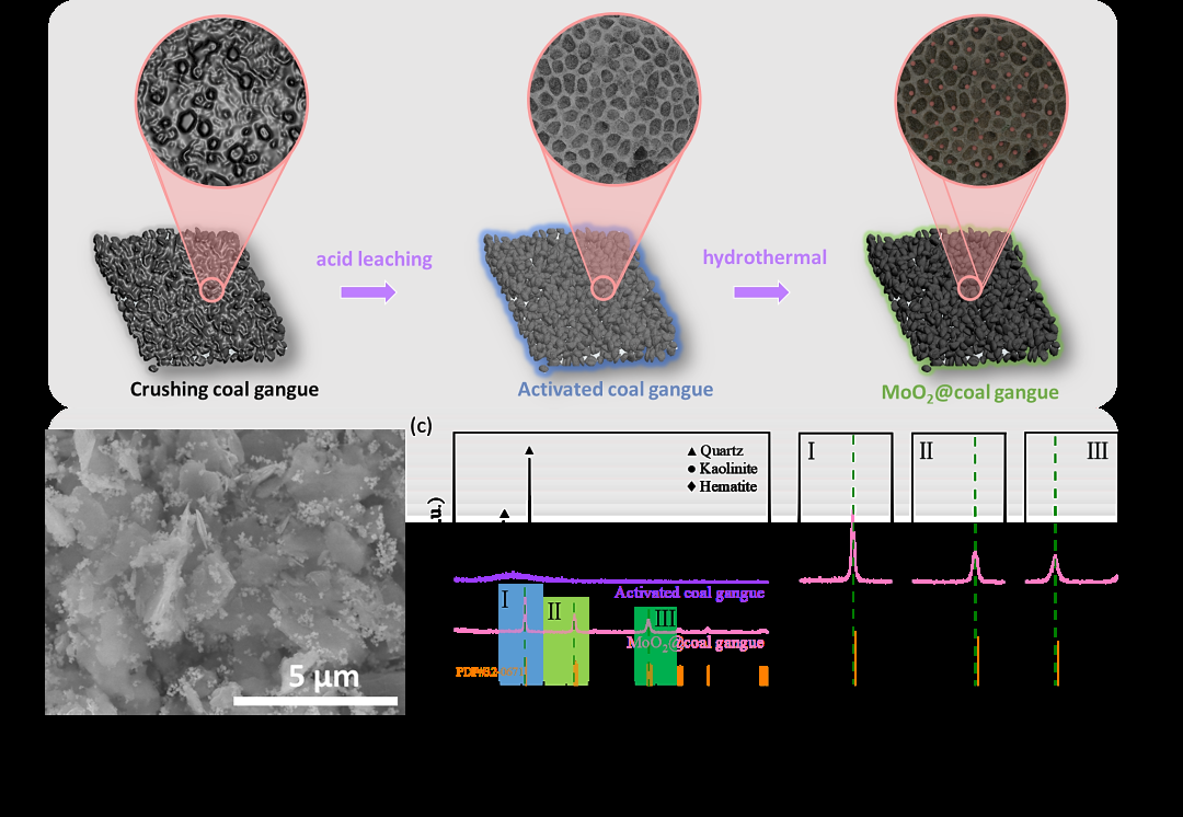 非晶/晶相异质结构MoO2@煤矸石电催化剂助力锂氧气电池