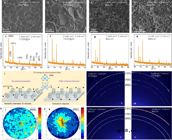 新型氟化共价有机框架薄膜调节锌沉积实现高性能水系锌离子电池 新型氟化共价有机框架薄膜调节锌沉积实现高性能水系锌离子电池